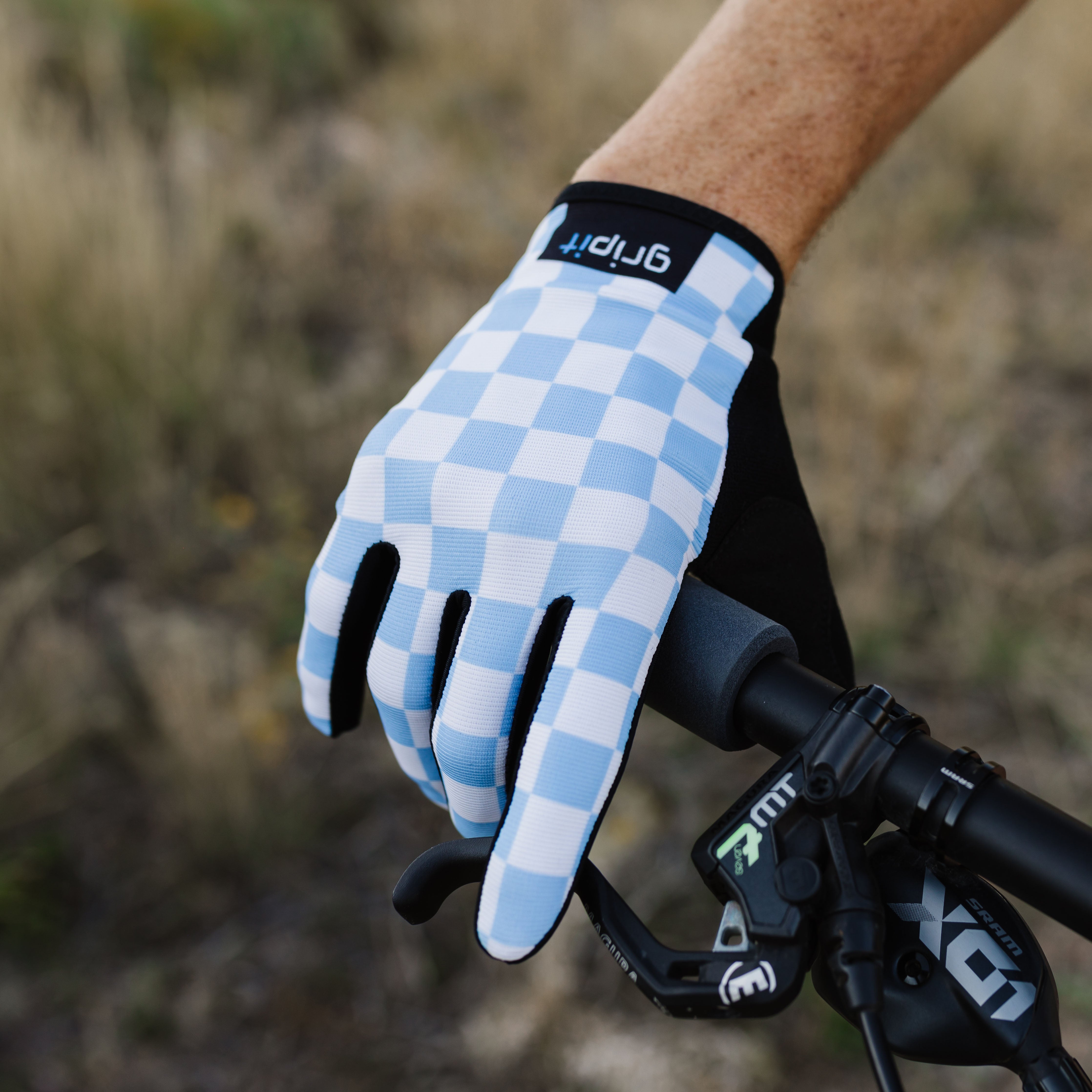 Blue Checkered
